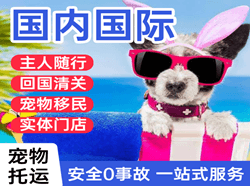 万州五桥航空快运国际宠物托运 【国